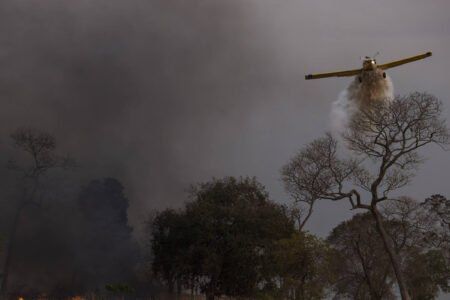 Incêndios florestais diminuem 50% e reduzem risco de nova crise no governo