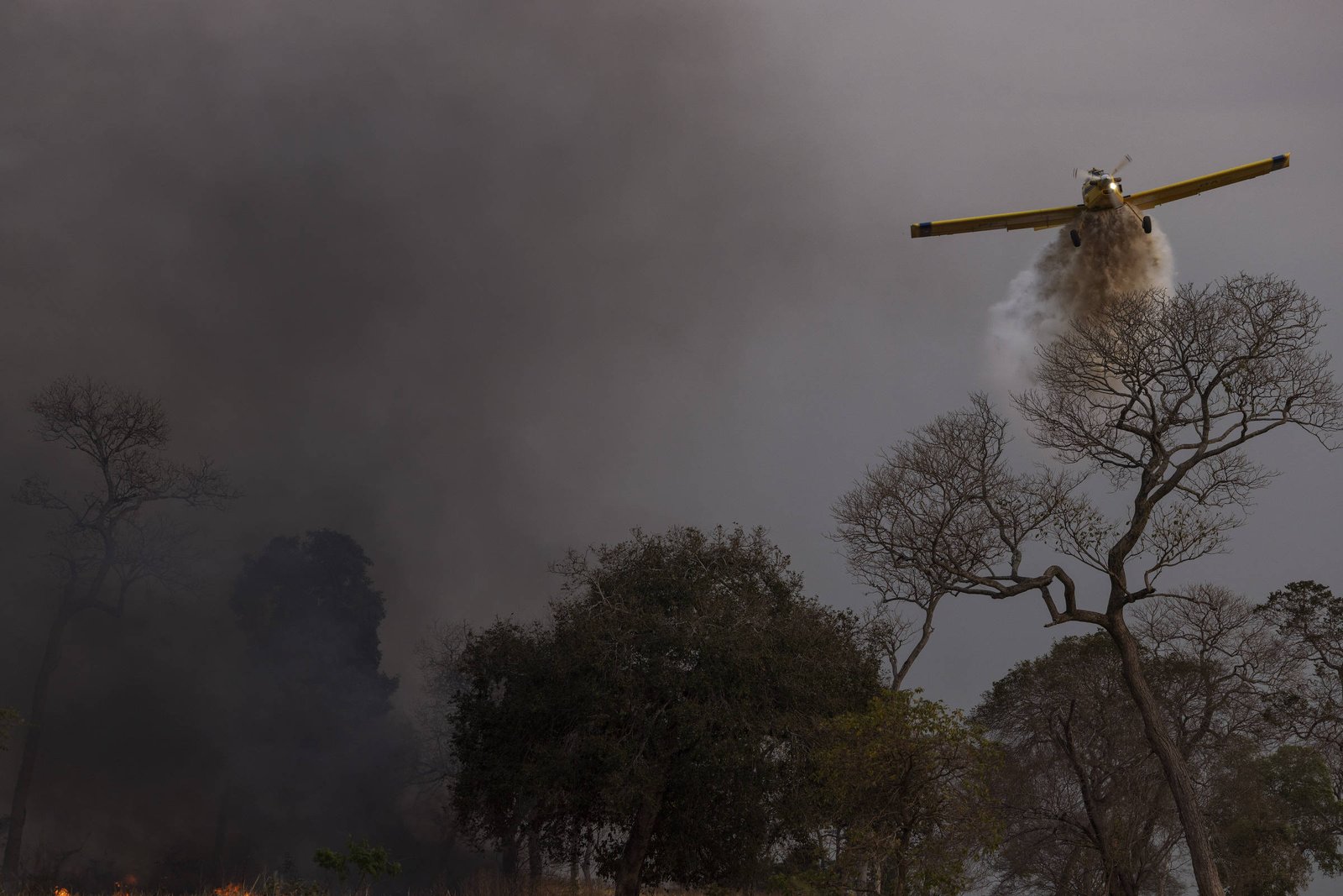 Incêndios florestais diminuem 50% e reduzem risco de nova crise no governo